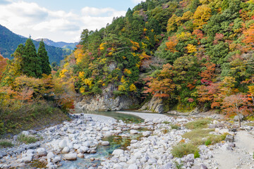 紅葉する山と神崎川の渓流
