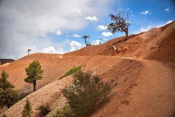 bryce canyon trail