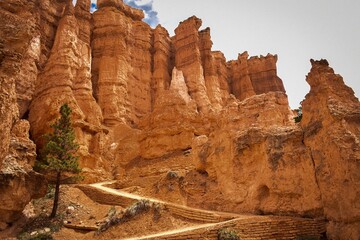 bryce canyon path