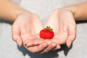 Obraz premium Girl holds tasty strawberries in hands