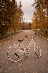 Fototapeta premium bicycle in the park