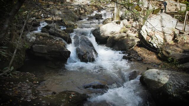 Water flows downstream along path at Anna Ruby Falls state park, slow motion, 4k