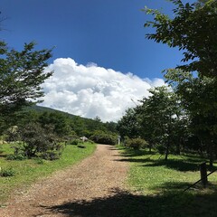長野県富士見町、富士見高原の夏の風景