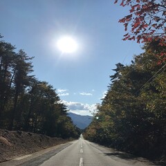 長野県富士見町の紅葉と真っ直ぐな一本道の風景