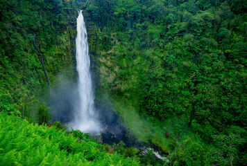 Fototapeta na wymiar Akaka falls hawaii