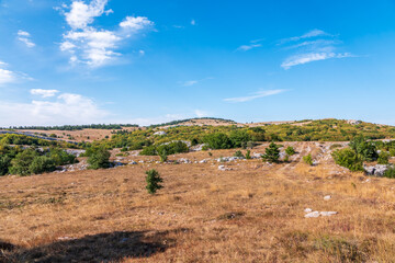 Autumn steppe landscape on a mountain plateau with low trees.