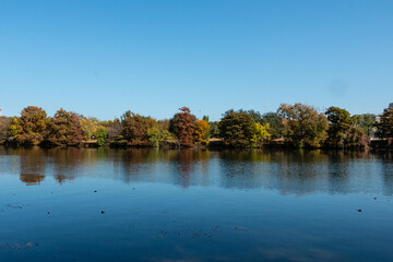 Fall Leaves Along Lady Bird Lake Austin Texas