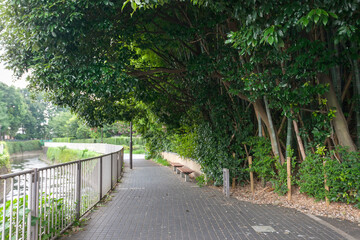 神田川自転車道、東京都杉並区永福付近