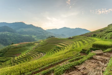 Deurstickers Terraced rice paddy field landscape of Mu Cang Chai, Yenbai, Northern Vietnam © Southtownboy Studio