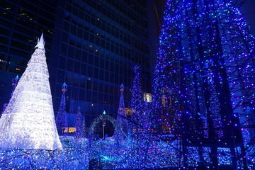 イルミネーション