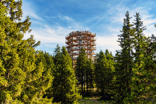 ROGLA, SLOVENIA - Oct 20, 2020: Wooden lookout tower amidst trees, forest.