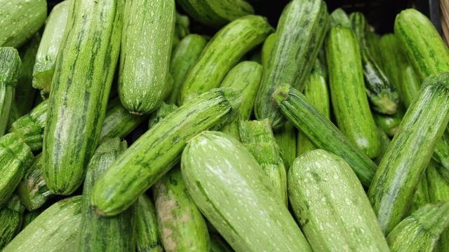 Zucchini vegetables exposition at the market grocery store. Organic healthy biological food.