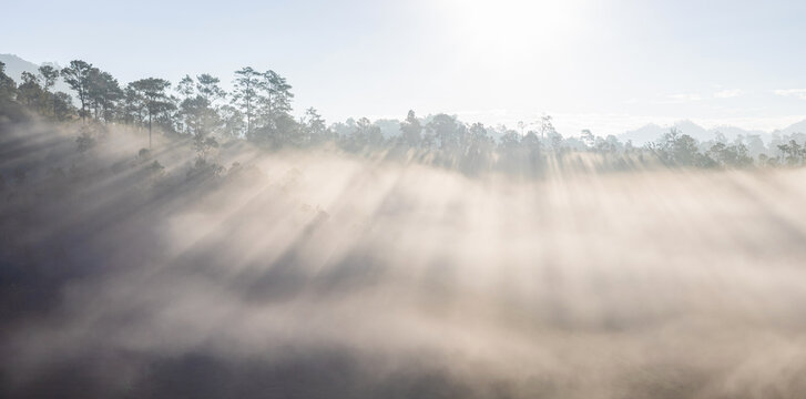 View of fog with golden sunbeams at sunrise in autumn. foggy with trees,