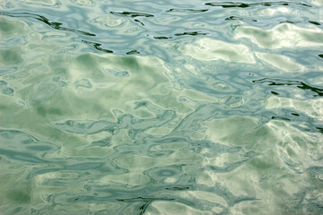 Obraz premium Abstract pale green water ripples texture from reflections on the surface