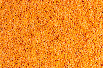 red lentils Lens culinaris against, with copy space. Selective focus. texture background