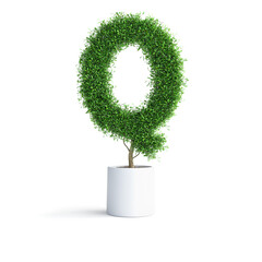 Green tree alphabet Letter Q with clipping path