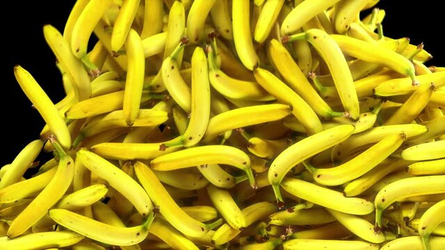 Falling Bananas Transition effect with alpha channel. 3D rendering