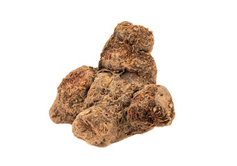 Macro shot of galangal root. Galangal root texture.