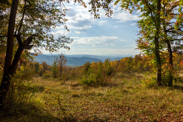 Fototapeta na wymiar Autumn forest Park in a mountainous area on a Sunny day.