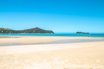 Fototapeta na wymiar Beach in Abel Tasman