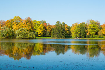 reflection of autumn forest in blue lake in the park 