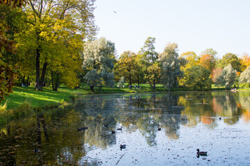 Obraz premium reflection of autumn forest in blue lake in the park 