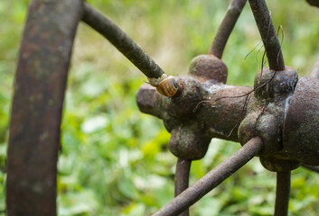old plow used by Romanian peasants to plow