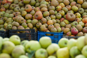 fruits and vegetables displayed on the stall sprew to be sold