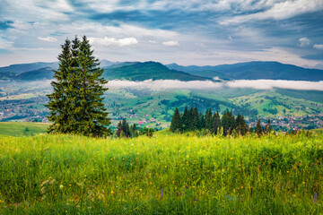 Yasinya village in morning mist. Picturesque summer scene of mountain valley. Gloomy landscape of green mountain hills, Ukraine, Europe. Beauty of countryside concept background..