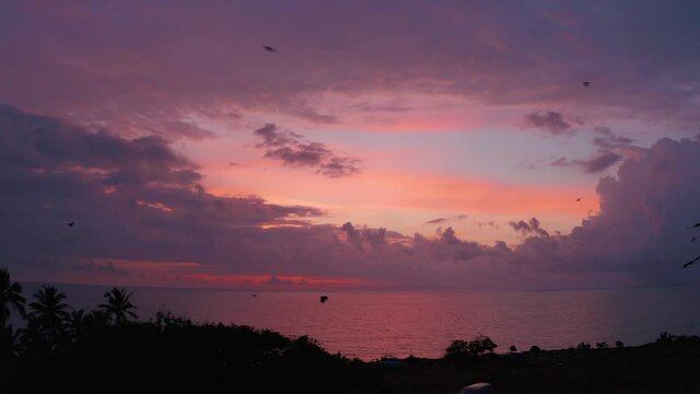 Aerial view of palm and coconut trees on beach, Goa, India.