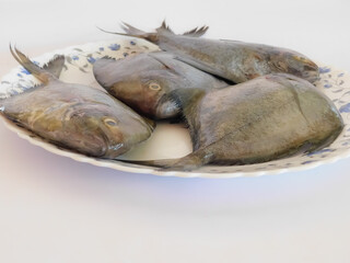 Delicious fishes (Avoli) with plate on white background