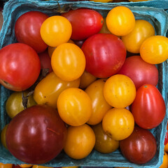 Basket of colorful heirloom cherry tomoatoes