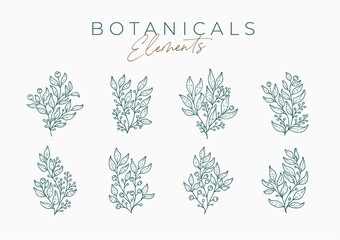 Set of realistic hand drawn flowers and leaves elements. botanical flowers premium vector 