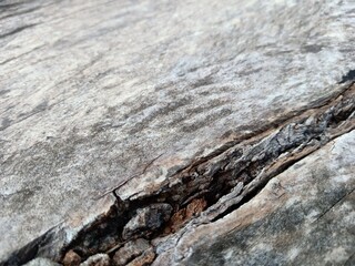 Abstract Wood Plank Background For Publication Design Work