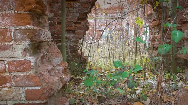 A break in a brick wall in an abandoned house.