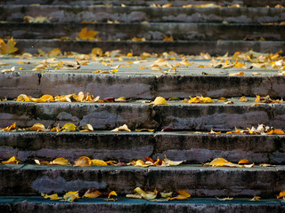 stair steps covered with yellow leaves in autumn