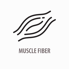 Muscle fiber line icon. Sign of protein, tissue. Vector illustration.