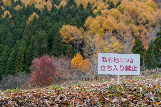 56 Best 禁止看板 Images Stock Photos Vectors Adobe Stock 56 Best 禁止看板 Images Stock Photos Vectors Adobe Stock