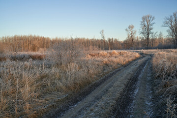 Breath of winter, first ice on the lake, dawn on a frosty morning with frost on the grass, close-up of frost, patterns on the first ice.