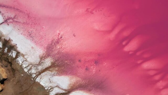 Aerial top down circle drone view footage of pink Lemurian Lake, Ukraine. The pink color results from red pigment secreted by microalgae in summer