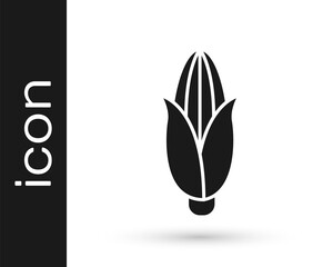 Grey Corn icon isolated on white background. Vector Illustration.