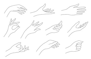 Set of linear human palms, vector. To create logos and other designs.