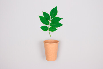 Mockup image of eco-friendly coffee to go cup - kraft paper cup with green leaves above on light grey background with copyspace. Recycled kraft paper packaging and zero waste concept