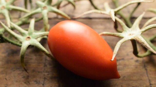 Pomodoro San Marzano Dop ft0209_0606 산마르차노토마토 San-Marzano-Tomate Pummarola 'e