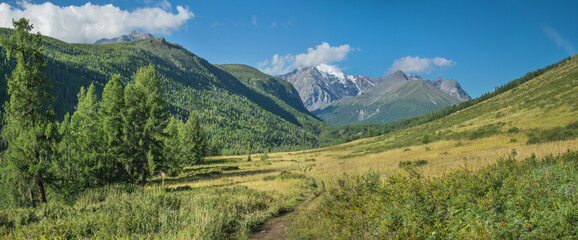 Mountain landscape, panoramic view. Summer greenery, sunny day.