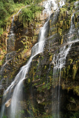 Fototapeta na wymiar Beautiful waterfall on the way trekking to Annapurna base camp - green natural scene at annapurna national park Nepal