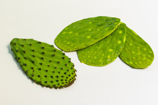 Prickly pear cactus pads isolated on white background, Mexican food ingredient