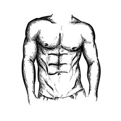 Hand drawn fitness male muscular body vector illustration