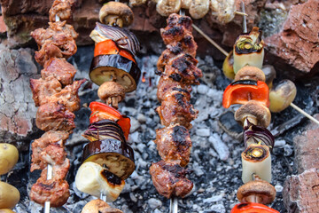 burnt pork meat grilled kebabs and vegetables