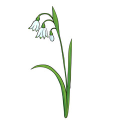 vector drawing summer snowflake